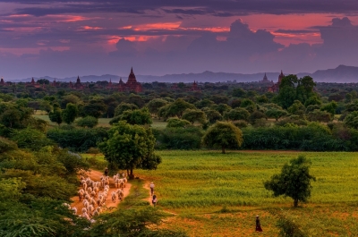 Birma - Dolina Baganu