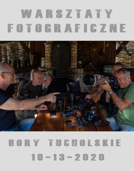 WARSZTATY FOTOGRAFICZNE W BORACH TUCHOLSKICH